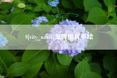 成都金牌图片手绘