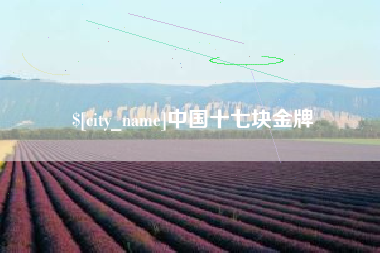 成都中国十七块金牌