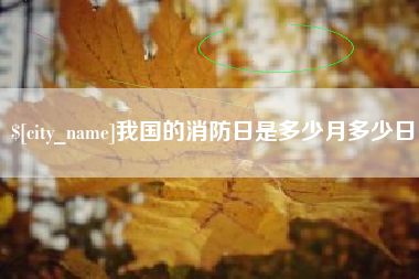 成都我国的消防日是多少月多少日