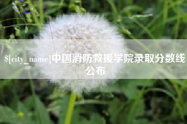 成都中国消防救援学院录取分数线公布