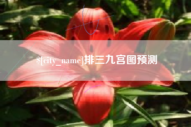 成都排三九宫图预测