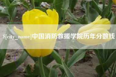 成都中国消防救援学院历年分数线