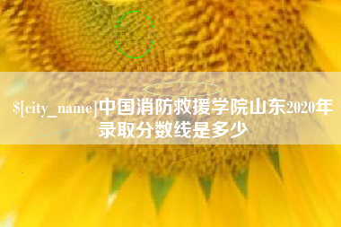 成都中国消防救援学院山东2020年录取分数线是多少