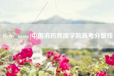 成都中国消防救援学院高考分数线