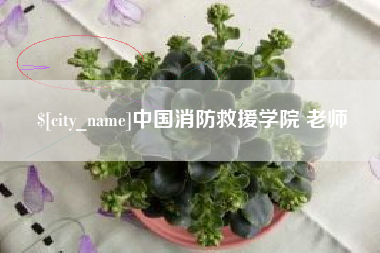 成都中国消防救援学院 老师