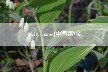 成都中国第9金