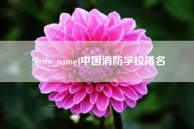 成都中国消防学校排名