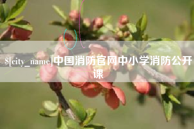 成都中国消防官网中小学消防公开课