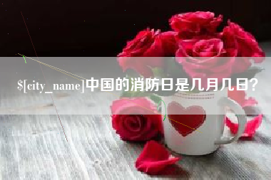 成都中国的消防日是几月几日？