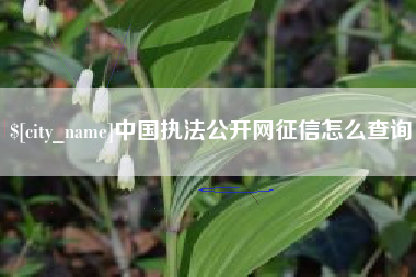 成都中国执法公开网征信怎么查询