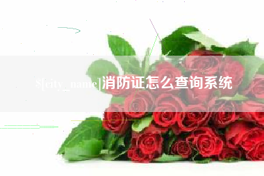 成都消防证怎么查询系统