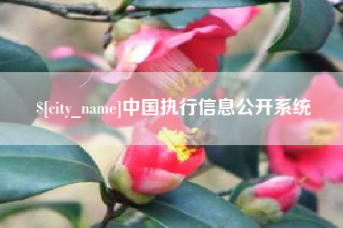 成都中国执行信息公开系统