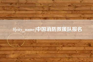 成都中国消防救援队报名