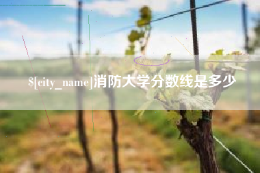 成都消防大学分数线是多少