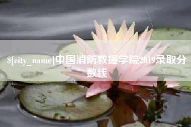 成都中国消防救援学院2019录取分数线