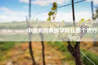 成都中国消防救援学院在那个地方
