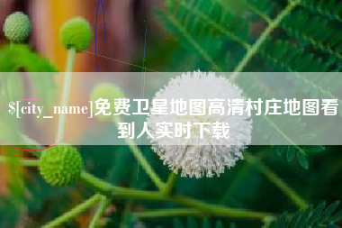 成都免费卫星地图高清村庄地图看到人实时下载