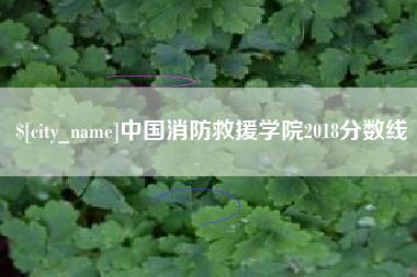 成都中国消防救援学院2018分数线