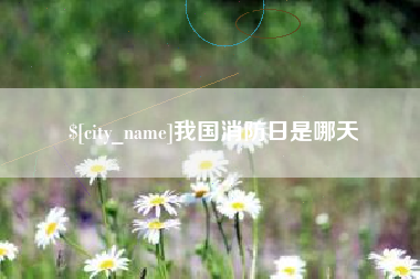成都我国消防日是哪天