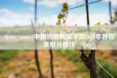 成都中国消防救援学院2020年各省录取分数线
