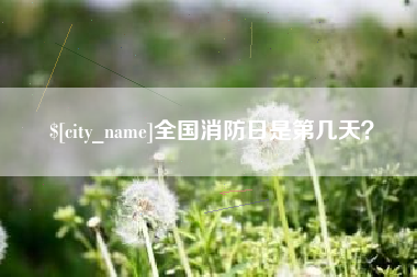 成都全国消防日是第几天？