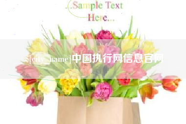 成都中国执行网信息官网