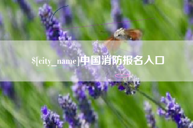 成都中国消防报名入口
