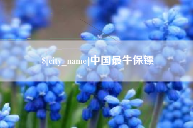 成都中国最牛保镖