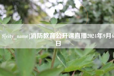 成都消防教育公开课直播2024年9月6日