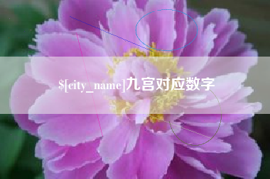 成都九宫对应数字