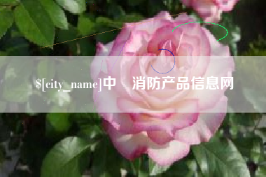 成都中囯消防产品信息网