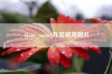 成都九宫格龙图片