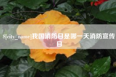 成都我国消防日是哪一天消防宣传日