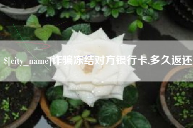成都诈骗冻结对方银行卡,多久返还