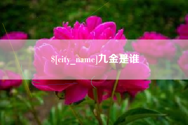 成都九金是谁