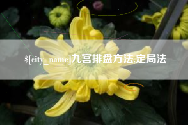 成都九宫排盘方法,定局法
