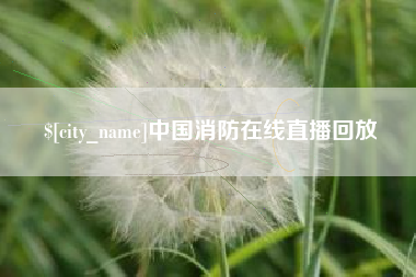 成都中国消防在线直播回放