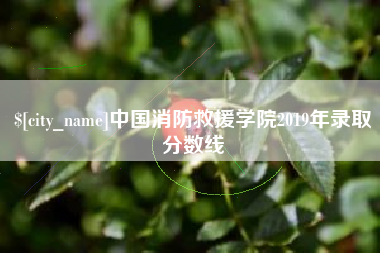 成都中国消防救援学院2019年录取分数线