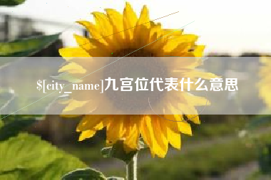 成都九宫位代表什么意思