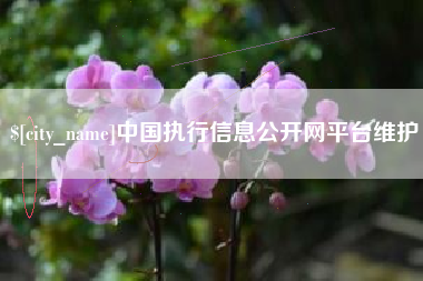 成都中国执行信息公开网平台维护