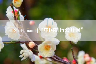 成都“中国执行公开网”