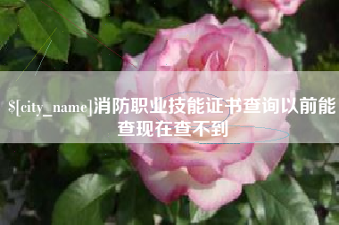 成都消防职业技能证书查询以前能查现在查不到