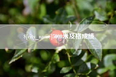 成都5000米及格成绩
