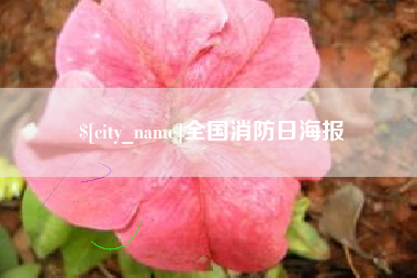 成都全国消防日海报