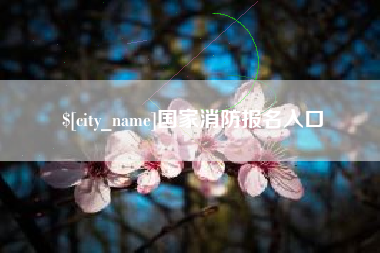 成都国家消防报名入口