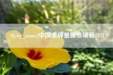成都中国金牌是哪些项目2021