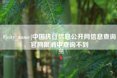 成都中国执行信息公开网信息查询官网限消中查询不到
