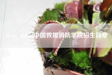 成都中国救援消防学院招生简章