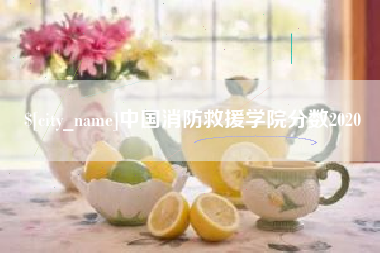 成都中国消防救援学院分数2020