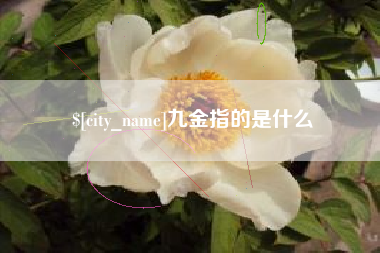 成都九金指的是什么